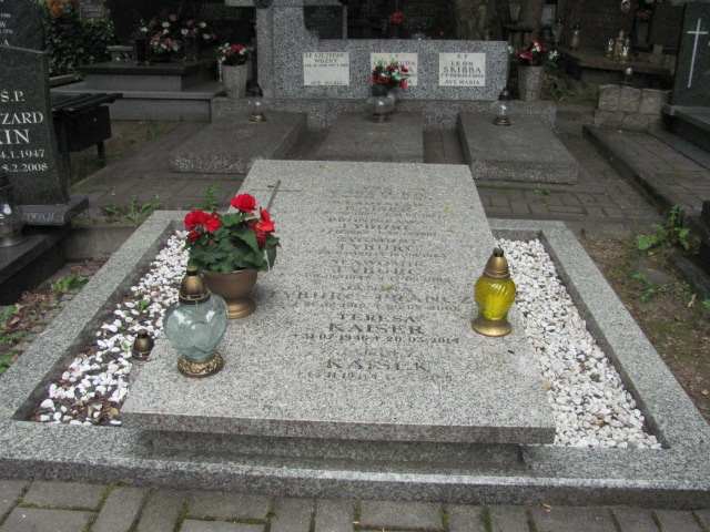 Grób Zygmunt  Tyburc