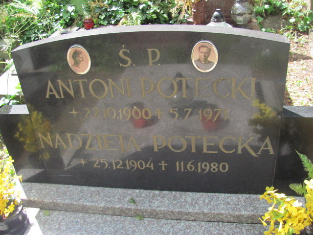 Nadzieja Potecka 1904 Sopot par. - Grobonet - Wyszukiwarka osób pochowanych