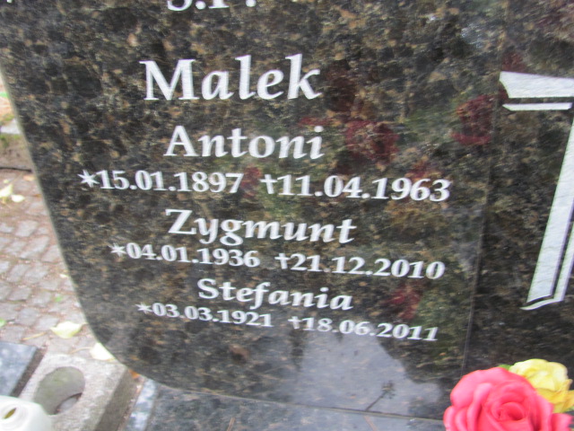 Antoni Malek 1897 Sopot - Grobonet - Wyszukiwarka osób pochowanych