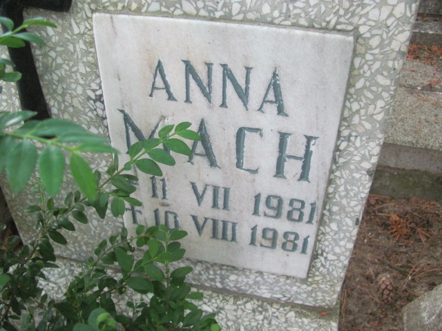 Anna Mach 1981 Sopot - Grobonet - Wyszukiwarka osób pochowanych