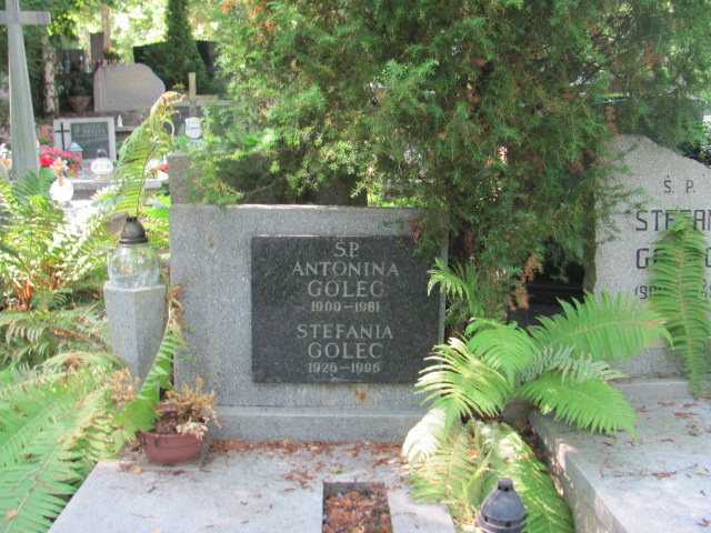 Stefania Golec 1926 Sopot - Grobonet - Wyszukiwarka osób pochowanych