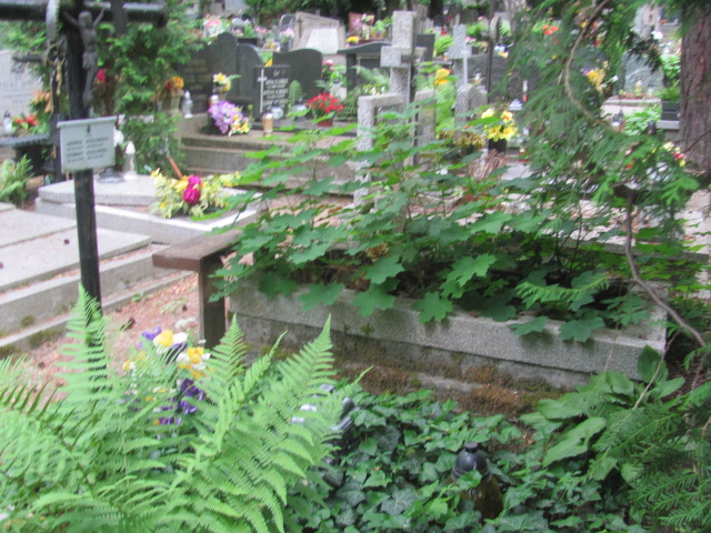 Jadwiga Kozłowska 1914 Sopot - Grobonet - Wyszukiwarka osób pochowanych