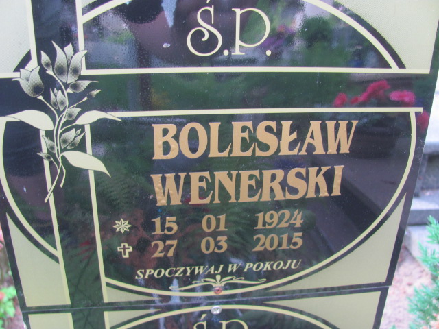 Krystyna Wenerska  1932 Sopot - Grobonet - Wyszukiwarka osób pochowanych