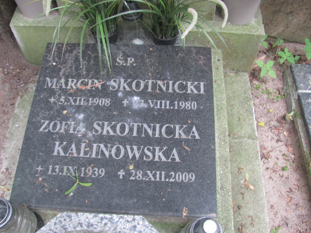 Marcin Skotnicki 1908 Sopot - Grobonet - Wyszukiwarka osób pochowanych