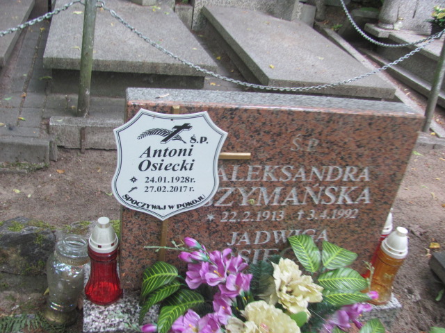 Aleksandra Szymańska 1913 Sopot par. - Grobonet - Wyszukiwarka osób pochowanych