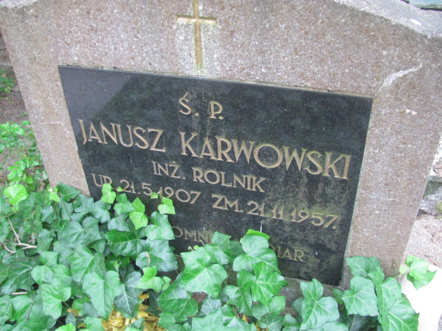 Janusz Karwowski 1907 Sopot parafialny - Grobonet - Wyszukiwarka osób pochowanych