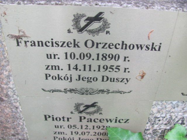 Piotr Pacewicz 1928 Sopot - Grobonet - Wyszukiwarka osób pochowanych