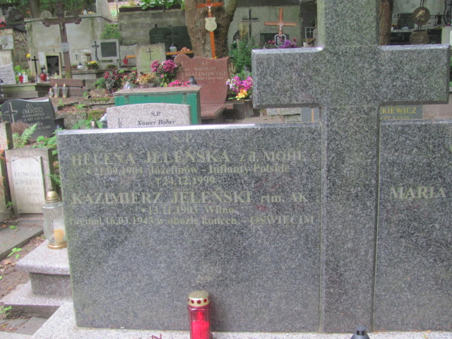 Helena Jeleńska 1904 Sopot - Grobonet - Wyszukiwarka osób pochowanych