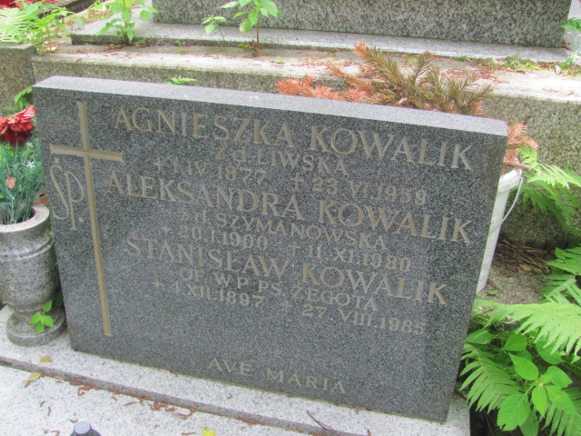 Agnieszka Kowalik 1877 Sopot - Grobonet - Wyszukiwarka osób pochowanych