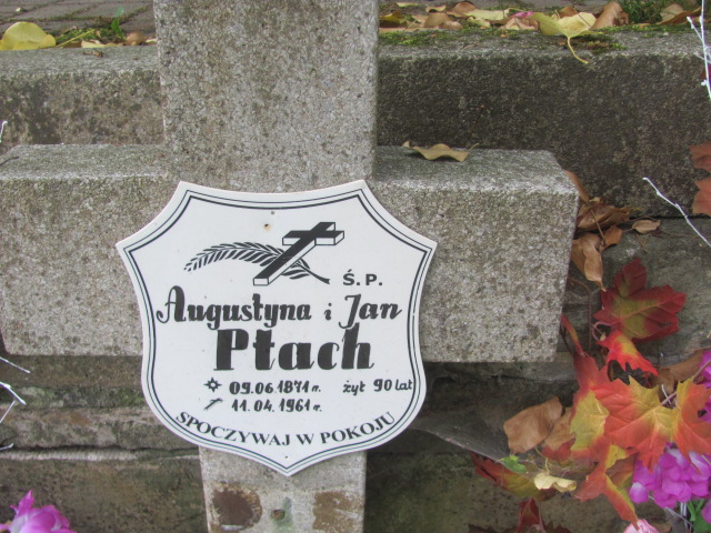 Augustyna Ptach 1871 Sopot - Grobonet - Wyszukiwarka osób pochowanych