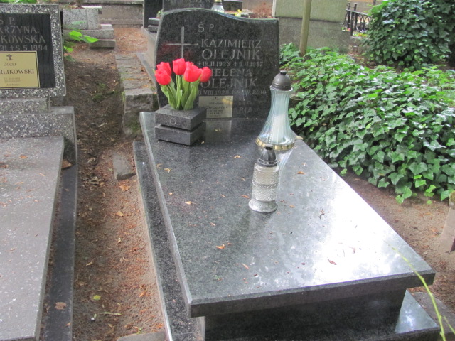 Grób Aleksander Chrzęstek