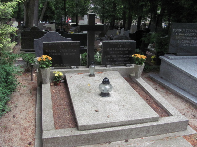 Grób Maria Żywicka