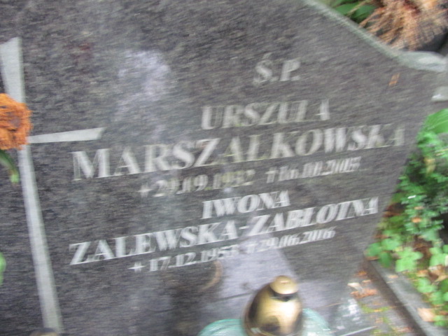 Iwona Zalewska Zabłotna 1953 Sopot - Grobonet - Wyszukiwarka osób pochowanych