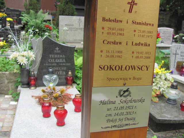 Bolesław Sokołowski 1881 Sopot - Grobonet - Wyszukiwarka osób pochowanych