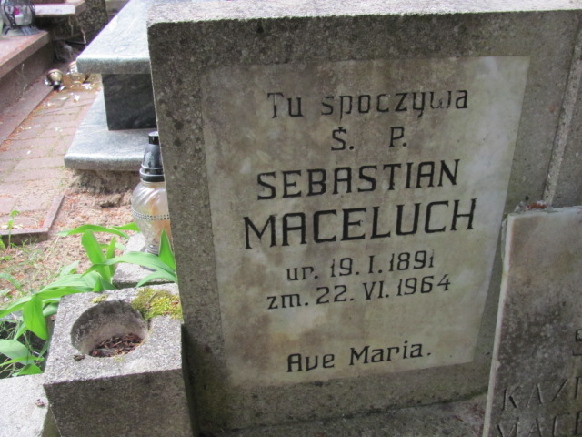 Kazimierz Marceluch 1929 Sopot - Grobonet - Wyszukiwarka osób pochowanych