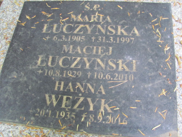 Maciej Łuczyński 1929 Sopot - Grobonet - Wyszukiwarka osób pochowanych
