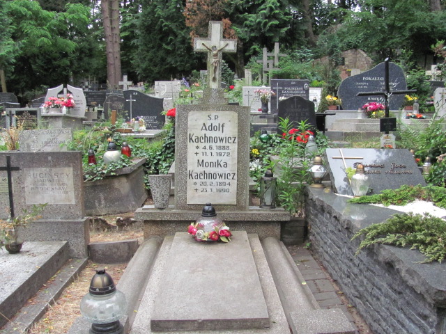 Grób Adolf Kachnowicz