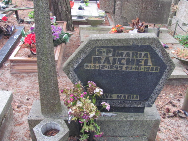 Zygmunt PAWLINA 1921 Sopot - Grobonet - Wyszukiwarka osób pochowanych