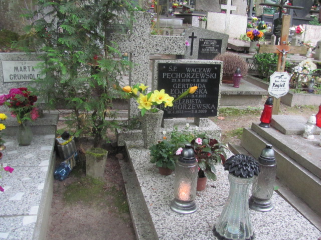 Grób Elżbieta Pęchorzewska