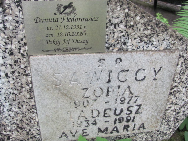 Grób Tadeusz Sawicki
